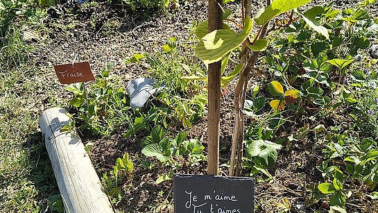 10 ans du Jardin des Glycines