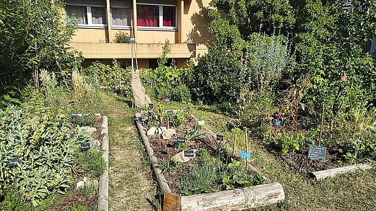 10 ans du Jardin des Glycines