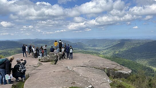 Vue du sommet du Donon (1000m) sur la forêt vosgienne