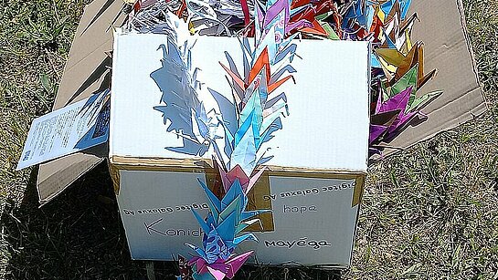Il faut trouver un plus grand carton !!!