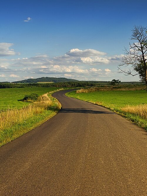 Chemin bordé de champs