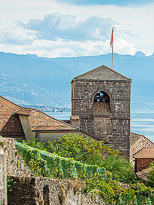 Une vue de l'Eglise de St-Saphorin dans la région Lavaux