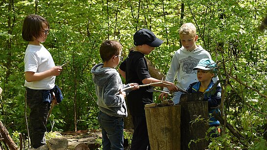 Pour construire une cabane, il faut se mettre d'accord