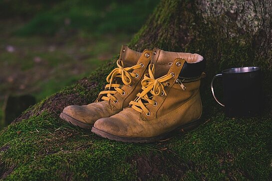 Chaussures de marche dans la forêt