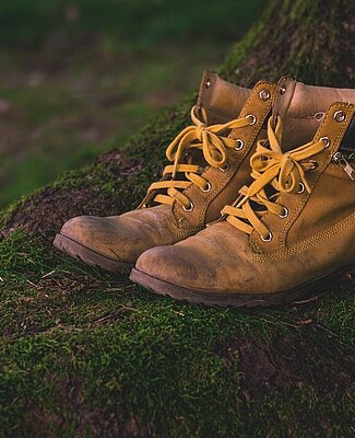 Chaussures de randonnée