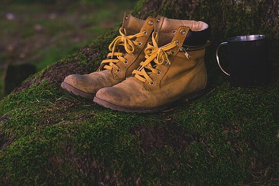 Chaussures de randonnée