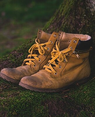 Chaussures de marche dans la forêt