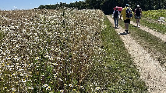Deuxième marche sur le sentier des Huguenots