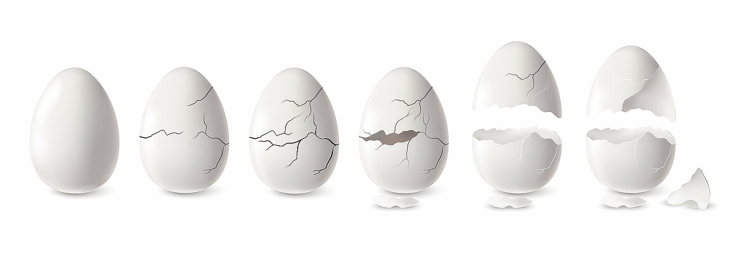 White Egg Set