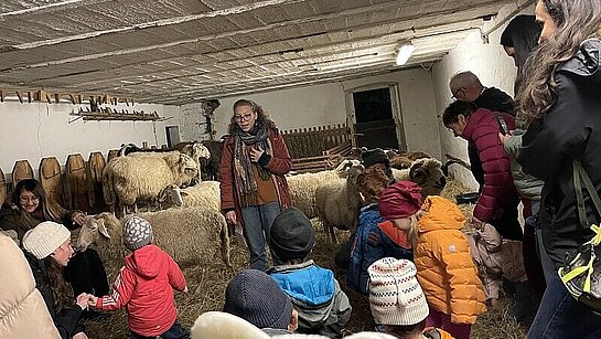 Nuit dans l'étable à la ferme de Bassenges
