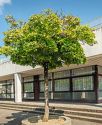 Centre oecumenique de Crissier