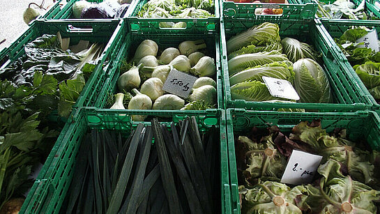 de nombreux légumes d'hiver dans les bacs attendent les clients de nombreux légumes d'hiver dans les bacs attendent les clients