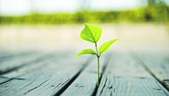 passage_pâques 2026