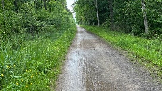 Première marche sur le sentier des Huguenots