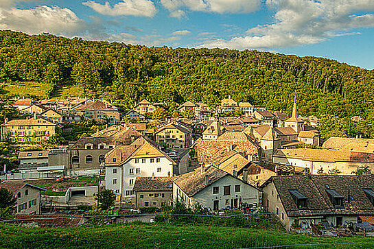 Abbatiale de Romainmotier
