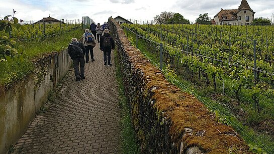 Première marche sur le sentier des Huguenots