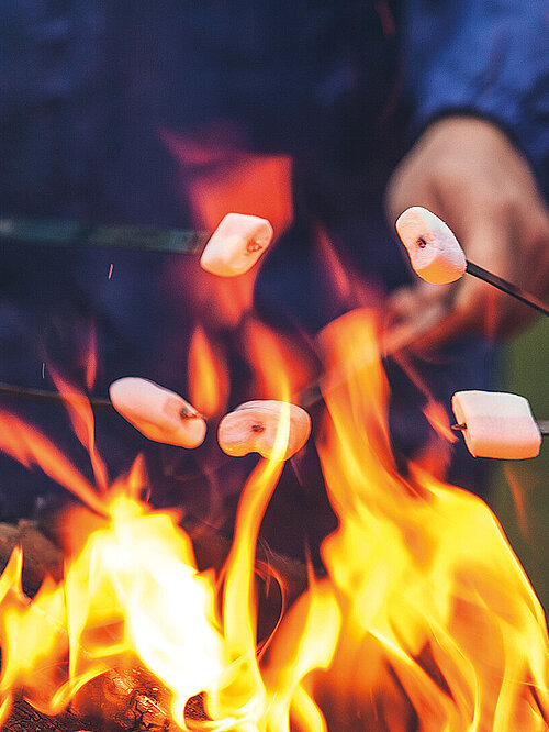 Hands of friends roasting marshmallows over the fire in a grill closeup