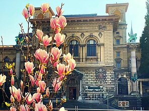 Place de la Riponne, Lausanne, fleur