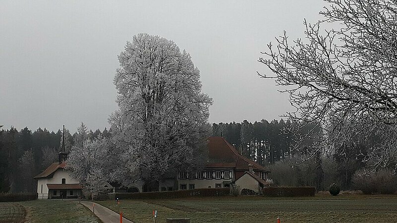 Gîte El Jire et chapelle de Montpreveyres en hiver