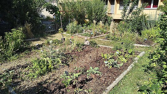 10 ans du Jardin des Glycines