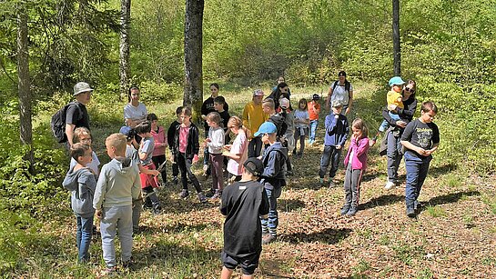 Promenade en forêt