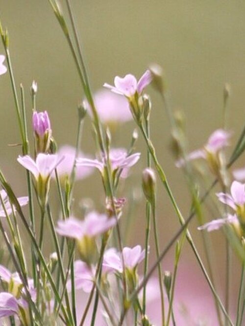 Retrouver douceur et légèreté par la méditation et la prière.Crédit photo : Flickr-cc-Louise Leclerc