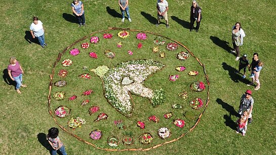 Pentecôte 2020 - Colombe en landart