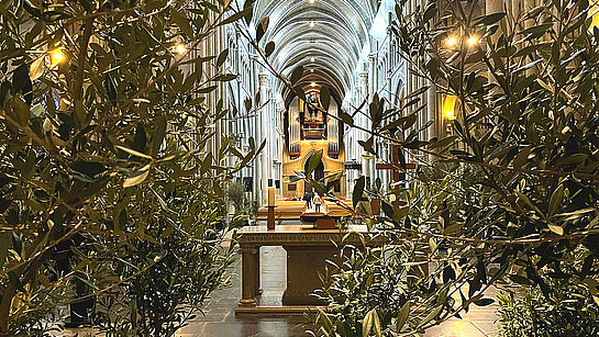 Pâques - Jardin d'oliviers à la cathédrale, pour le temps de la Passion - @DR