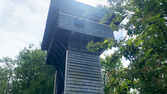 13.La Tour d'observation de la réserve des Grangettes