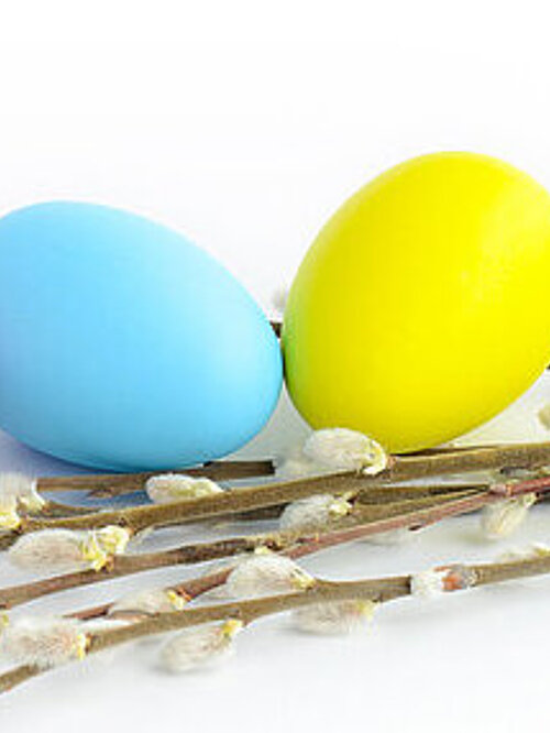 easter background, easter painted eggs and willow branches on a white background, copy space