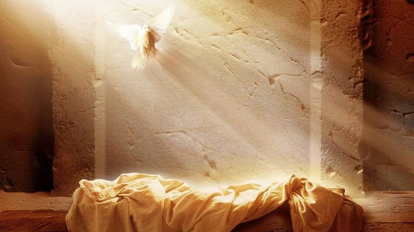 photo du tombeau vide, la lumière du soleil éclaire l'intérieur, une colombe vole au dessus du linge blanc