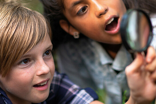 Des enfants explorateurs.