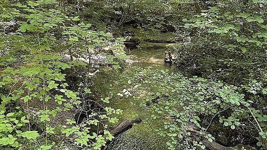 Deuxième marche sur le sentier des Huguenots