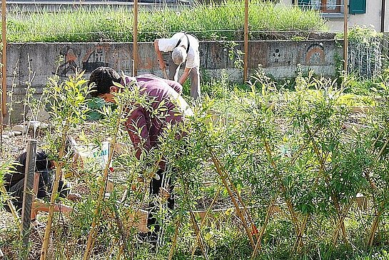 Personnes travaillant au jardin