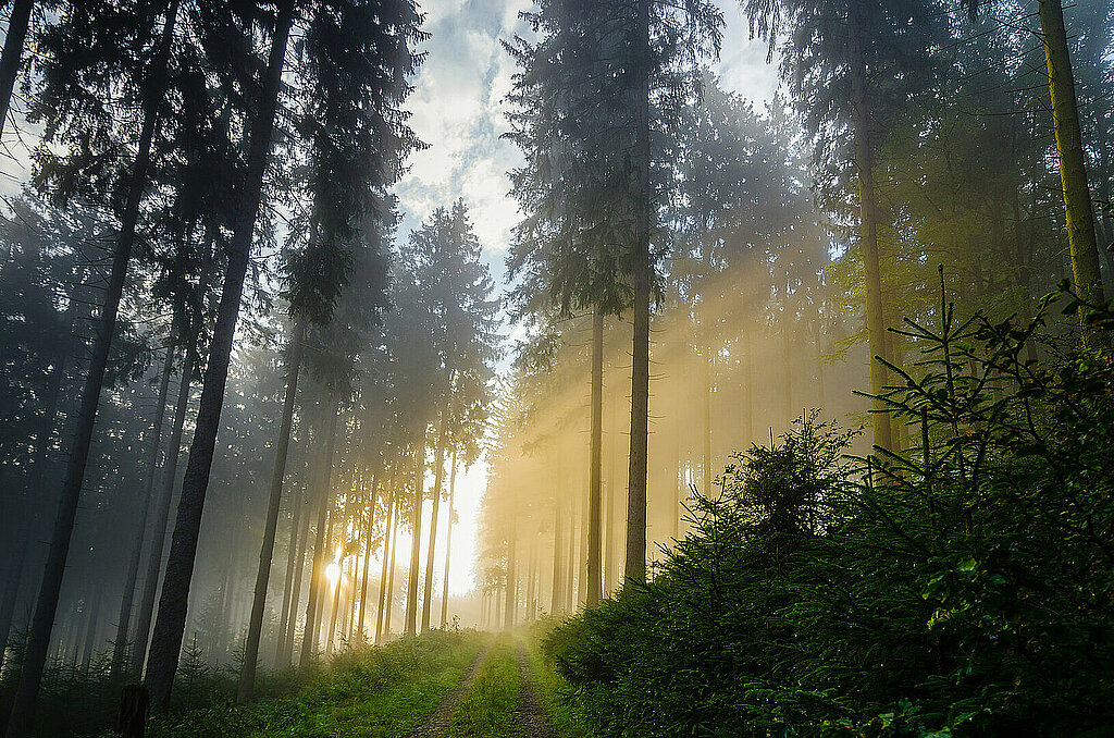 Nature et spiritualité 