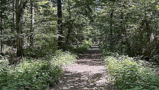 Deuxième marche sur le sentier des Huguenots