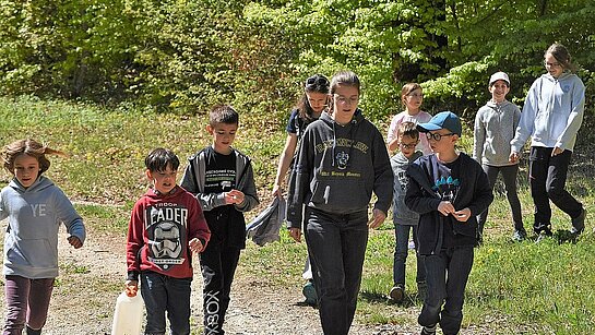 Promenade en forêt