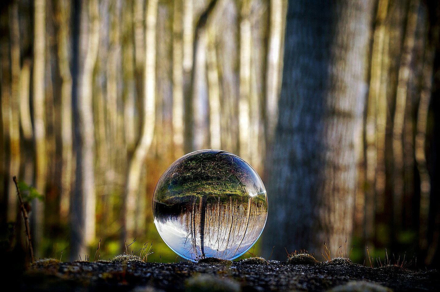 Bulle de verre