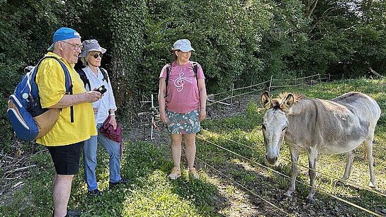 Deuxième marche sur le sentier des Huguenots