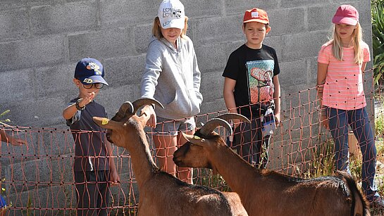 Jeudi - Découverte de la ferme