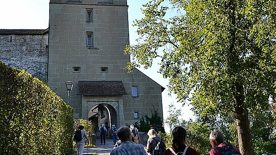 Montée au Château de Berthoud