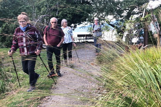 marche méditative, marcheurs en nature