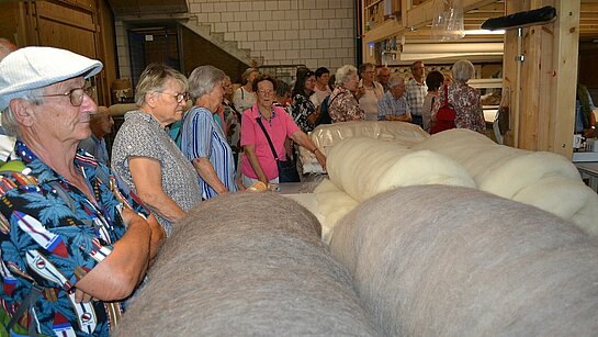 Fabrication d'un duvet en laine de mouton