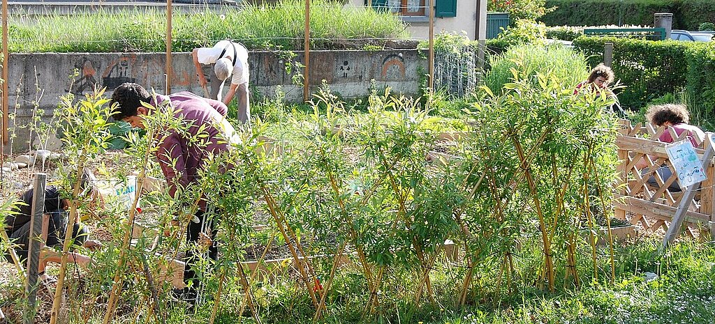 Plusieurs personnes en train de travailler dans un jardin participatif