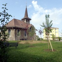 Jeunes arbres de verger derrière le temple de Chavannes-Epenex