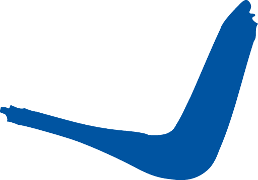 Polygon